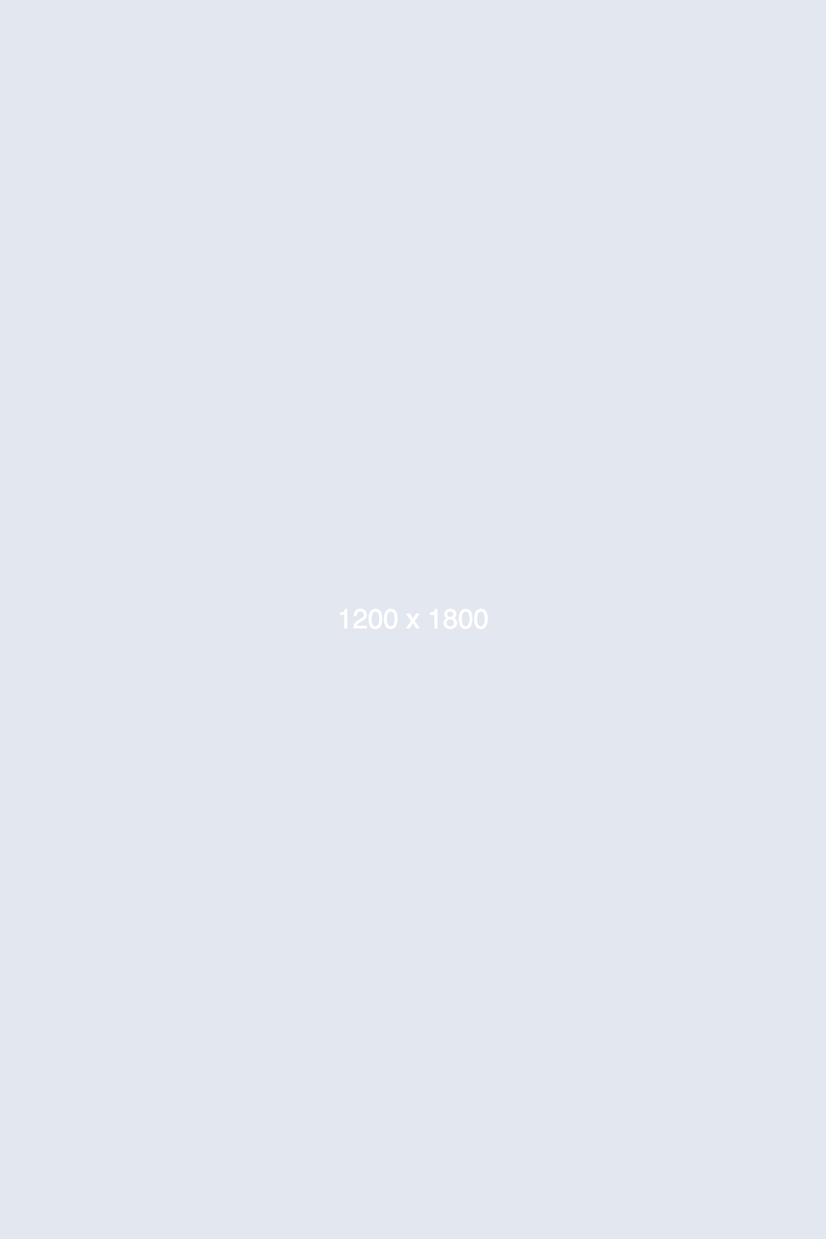 dummy_1200x1800_ffffff_E3E7EF